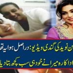 MY, VIDEO, WITH, CAPT. NAVEED, WAS, FAKE, SAYS, MEERA