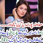 AIZA KHAN, CLAIMED THAT, HE, COULD, NOT, GET, PROPER, PROFIT, FROM, DRAMA, MERE PAAS TUM HO