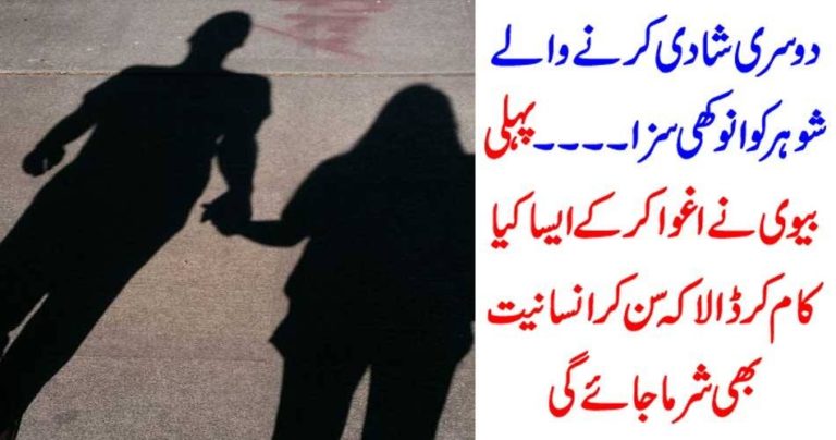 ON, COMMITING, SECOND, MARRIAGE, WIFE, KIDNAPPED, HUSBAND, AND, PUNSHIED, HIM, THE, WORST