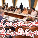 FEDERAL, MINISTER, PAKISTAN, IS, AMERICAN, CITIZEN, ALSO