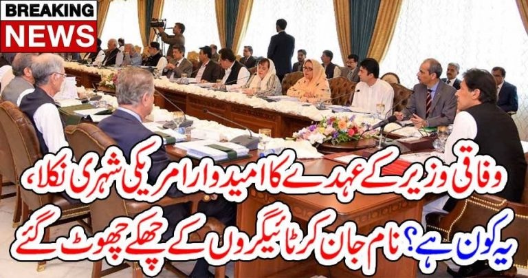 FEDERAL, MINISTER, PAKISTAN, IS, AMERICAN, CITIZEN, ALSO