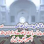 SHAH ISMAIL SHAEED, AND, A, PROSTITUTE, OF, DEHLI, THE, PEOPLE, MAKING, PAKISTAN, A, GOVERNMENT, OF, HAREEM SHAHS, SHOULD, FEEL, SHAME, ORYA MAQBBOOL JAN COLUMNS