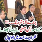 BIRDS, FLYING, FROM, PTI, MNA, MPAS, LEFT, PTI, GOVT, IN, ENTRE, AND, PUNJAB