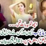 WHO, THREATENED, RABI PIRZADA, AND, MADE, HER, VIDEO, AND, PUT, IT, ON, SOCIAL, MEDIA, EVERY, DETAIL, CAME, TO, MEDIA