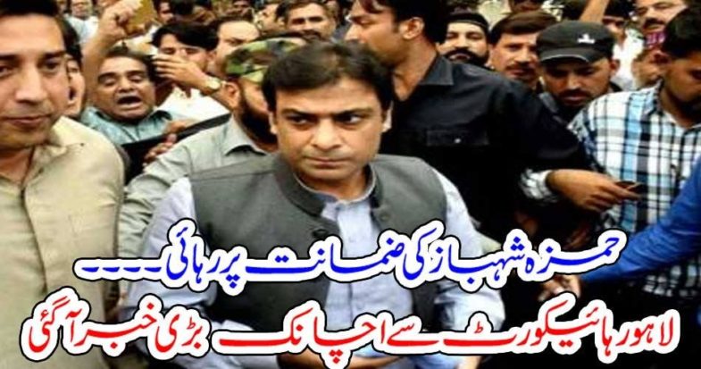 HAMZA SHEHBAZ, GOT, FREE, FROM, NAB, CUSTODY