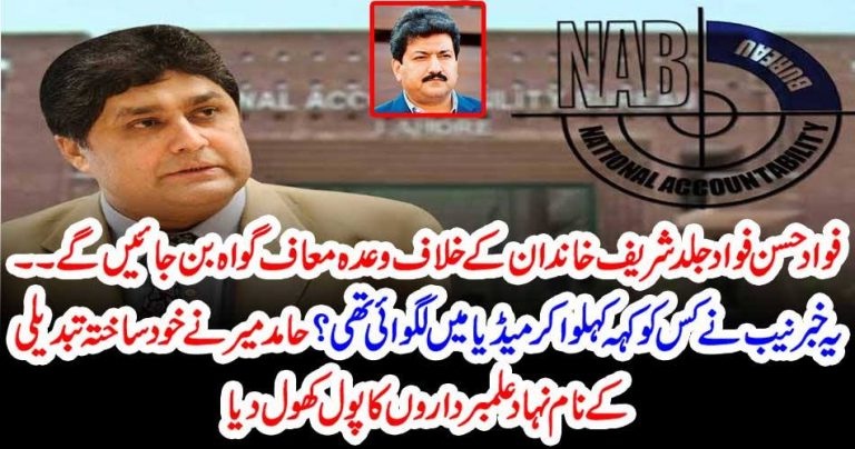 WHY, NAB, SPREAD FAKE, NEWS, IN, MEDIA, THAT, FAWAD HASSAN, WILL, PART, OF, NAB, AS, WITNESSES, HAMID MIR, COLUMN