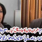 IMRAN KHAN, MAGIC, WORKED, INTERNATIONAL, COMPANY, OFFERED, FOR, PAKISTAN, IN, WORLD, ECONOMIC, FORUM