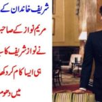 JUNAID SAFDAR, SON, OF, MARYAM NAWAZ, GOT, MASTER, IN, ECONOMICS, DEGREE, FROM, LONDON