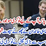 BRITISH, PRINCE, HERRY, GOT, THE, JOB OFFER, FROM, VARIOUS, COMPANIES, AFTER, ANNOUNCEMENT, OF, QUITAL, FROM, ROYAL, STATUS