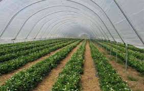 ON, FEDERAL, LEVEL, NEW, INSITUTION, TO, BE, INITIATED