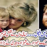 LADY DIANA, SON, ON, THE, FOOT PRINTS,OF, HIS, MOTHER, ANNOUNCED, TO, DENIEL, OF, HIS, ROYAL, STATUS