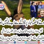 kashif abbasi, is, habitual, doint, fake, programs nusrat javed coluns