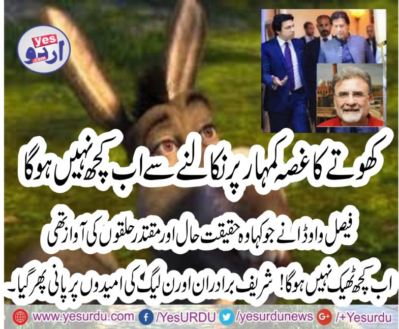 kashif abbasi, is, habitual, doint, fake, programs nusrat javed coluns