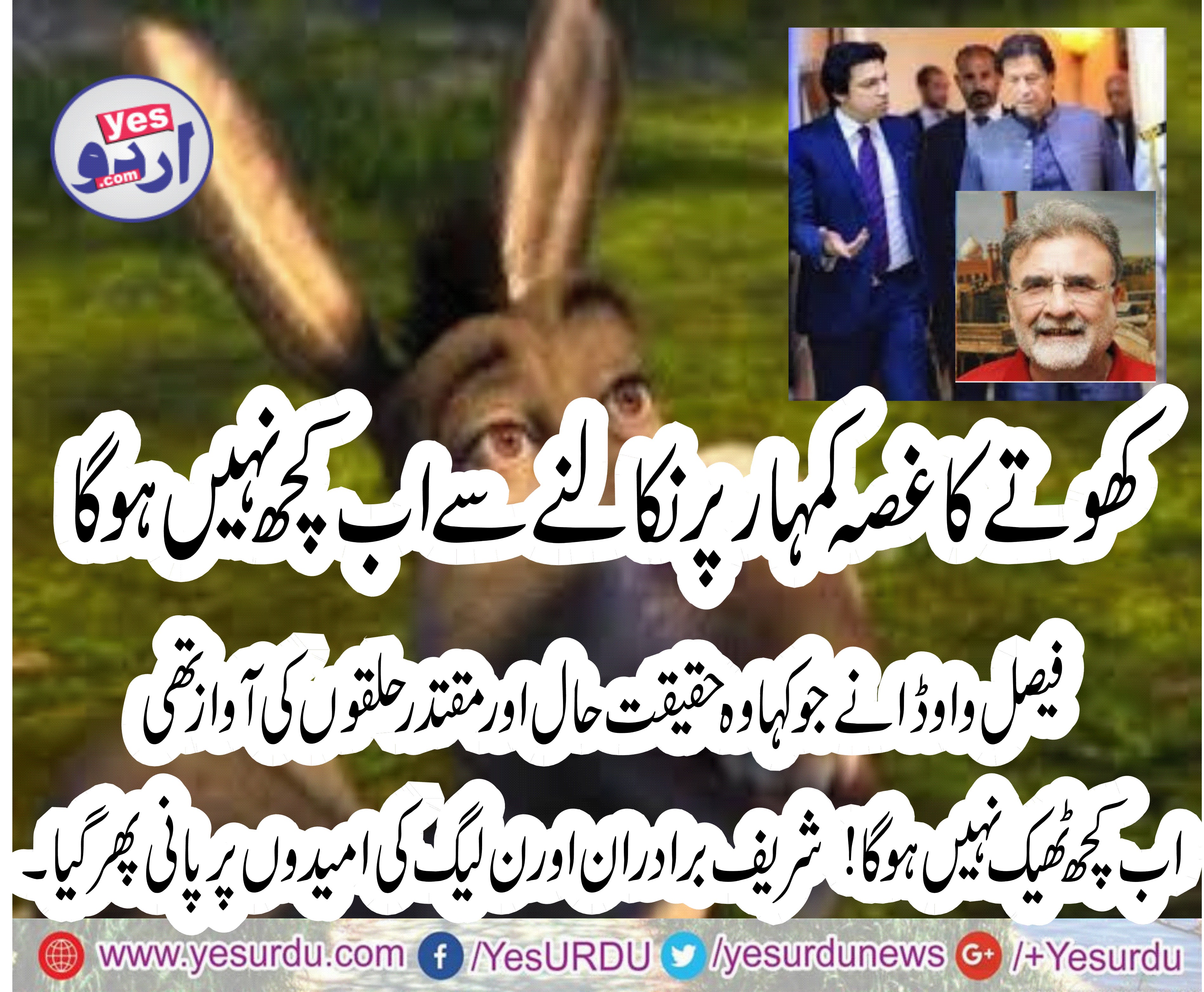 کھوتے کا غصہ کمہار پرنکالنے سے اب کچھ نہیں ہوگا، فیصل واوڈا نے جوکہا وحقیقت حال اورمقتدرحلقوں کی آواز تھی، اب کچھ ٹھیک نہیں ہوگا، ، شریف برادران اورن لیگ کی امیدوں پرپانی پھر گیا