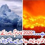 climate change, what, will, be, in, 2020