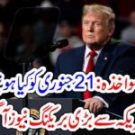 US, PRESIDENT, DONALD TRUMP, IMPEACHMENT, IN, JANUARY, 21, 2020