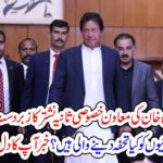 IMRAN KHAN, SPECIAL, AID, SANIA NISHTAR, BROUGH, GOOD, NEWS, FOR, PAKISTANIS