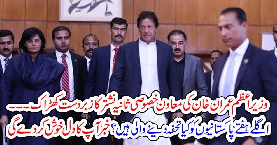 IMRAN KHAN, SPECIAL, AID, SANIA NISHTAR, BROUGH, GOOD, NEWS, FOR, PAKISTANIS