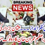 IMRAN KHAN, IGNORED, ALL, ALLEGATIONS, AND, BACKED, THE, USMAN BUZDAR