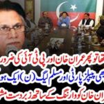 IF, THE, SAME, IS, BEING, HAPPNENING, BY, IMRAN KHAN, AFTER, SOMETIME, PPP, AND, PMLN, WILL, BE, UNITE, HASSAN NISAR COLUMN