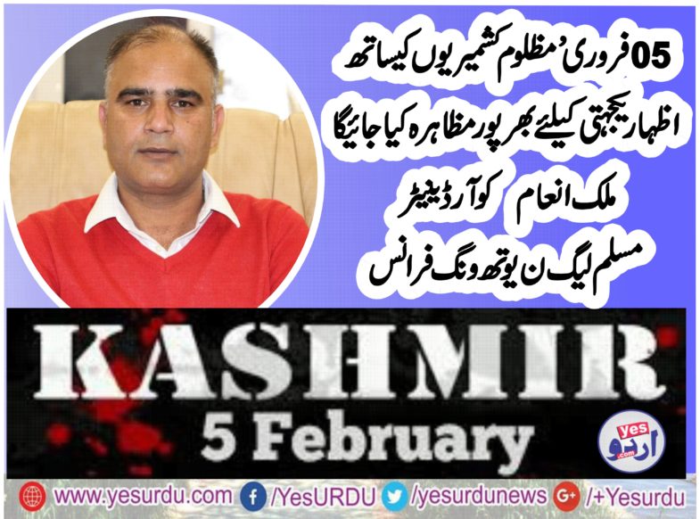 MALIK INAM, COORDINATOR, PMLN, YOUTH, WING, FRANCE