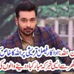 FAISAL, QURESHI, BLESSED, WITH, A, BABY, BOY