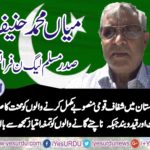 MIAN MUHAMMAD HANIF, PRESIDENT, PMLN, FRANCE