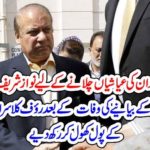 WHAT, DEEDS, WERE, DONE, BY, NWAWAZ SHAREIF, FOR, HIS, AND, HIS, FAMILY, LUXURIES, DURING, PREMIERSHIP