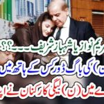 MARYAM NAWAZ, OR, SHEHBAZ SHAREIF, WHO, WILL, LEAD, THE, PMLN