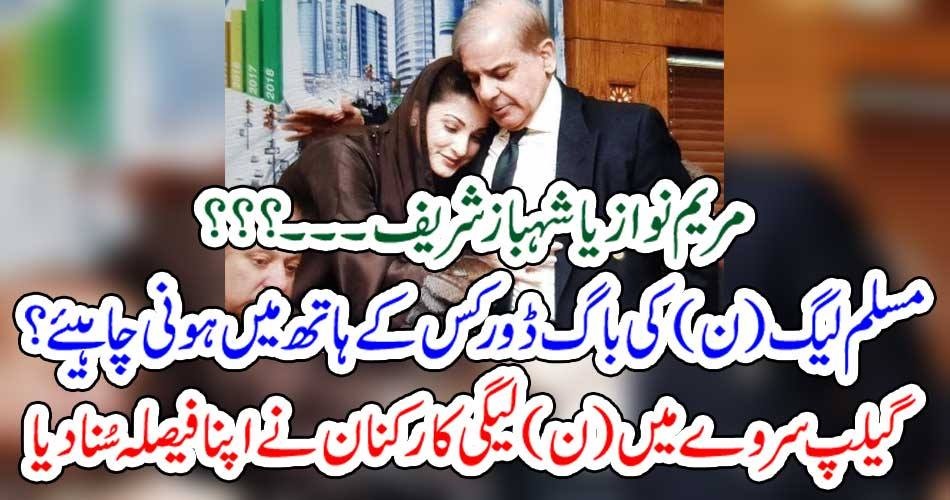 مریم نواز یا شہباز شریف۔۔۔؟؟؟ مسلم لیگ (ن) کی باگ ڈور کس کے ہاتھ میں ہونی چاہیئے؟ گیلپ سروے میں (ن) لیگی کارکنان نے اپنا فیصلہ سُنا دیا