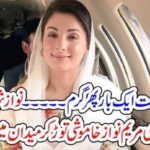 MARYAM NAWAZ, BROKE, THE, SILENCE, AND, TWEETED, HIS, FATHER, PHOTO