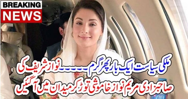 MARYAM NAWAZ, BROKE, THE, SILENCE, AND, TWEETED, HIS, FATHER, PHOTO