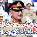 extension, in, COAS, tennure, what, surpise, will, be, given, to, Nation, Today