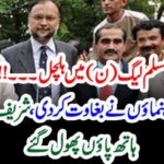 PMLN, SENIOR, LEADERS, START, REBELLION, AGAINST, SHARIEF FAMILY