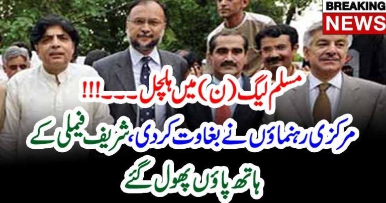 PMLN, SENIOR, LEADERS, START, REBELLION, AGAINST, SHARIEF FAMILY