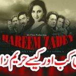 HOW, PTI, TARGETED, BY, HAREEM SHAH