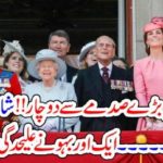 QUEEN, OF, BRITAIN, SHOCKED, BECAUSE, OF, ANOTHER, SON, AND, DAUGHTER, IN, LAW, LEFT, HER