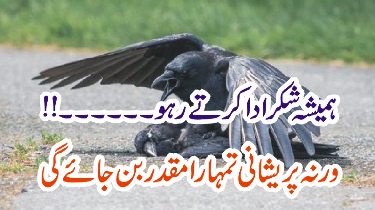 EVERY, MOMENT, THANKED, TO, ALLAH. ALMIGHTY, NO, MATTER, WHEN, YOU, WILL, MET, TO, ANY, DIFFICULTY