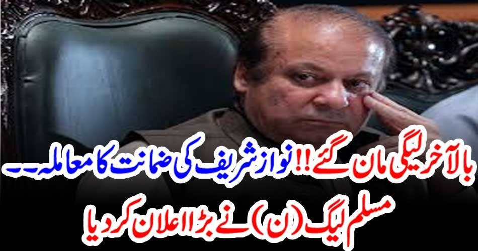 NAWAZ SHAREIF, BAIL, PMLN, ACCEPTED, EVERYTHING