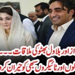 MARYAM NAWAZ, AND, BILAWAL BHUTTO, MEETING, A, GREAT, GOOD, NEWS, FOR, TIGERS, AND, PATWARIES