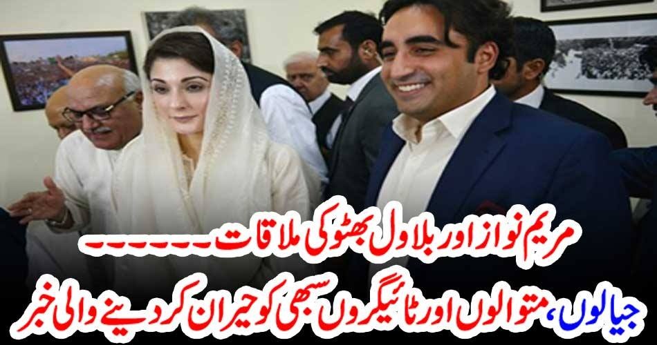 MARYAM NAWAZ, AND, BILAWAL BHUTTO, MEETING, A, GREAT, GOOD, NEWS, FOR, TIGERS, AND, PATWARIES