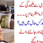 SAIRA SHEHROZ, AFTER, DIVORCE, WITH, SHEHROZ SABZWARI, CAME, BEFORE, THE, PUBLIC, FOR, THE, FIRST, TIME