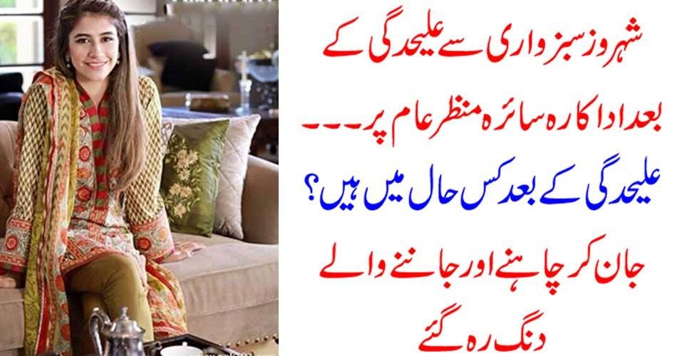 SAIRA SHEHROZ, AFTER, DIVORCE, WITH, SHEHROZ SABZWARI, CAME, BEFORE, THE, PUBLIC, FOR, THE, FIRST, TIME