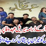 EHD E WAFA, DRAMA, SERIAL, BANNED, BECAUSE, OF, SOME, UNETHICAL, ISSUES