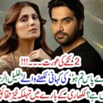 WHO, IS, KHALIL UR RAHMAN QAMAR, KNOW, HIS, LIFE, STORY