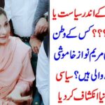 MARYAM NAWAZ, WILL, BROKE, THE, SILENCE, AFTER, SHEHBAZ SHAREIF, ARRIVAL, IN, PAKISTAN
