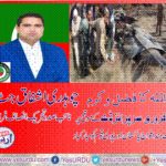 CH ASHFAQ JUTT, VICE, PRESIDENT, PTI, FRANCE