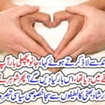 WHEN, AT, VALENTINES, DAY, A,WIFE, SAID, TO, HER, HUBAND, AT, LAST, ANNIVERSARY, YOU, MADE, A, IRON, BUCKET, FOR, ME
