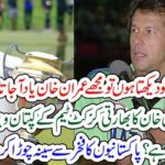 when, i, look, at, virat kohli, i, remeber, imran khan, says, sanjay manjeraker