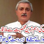 jehangir tareen, meet, to, important, personality, solution, to, every, one,
